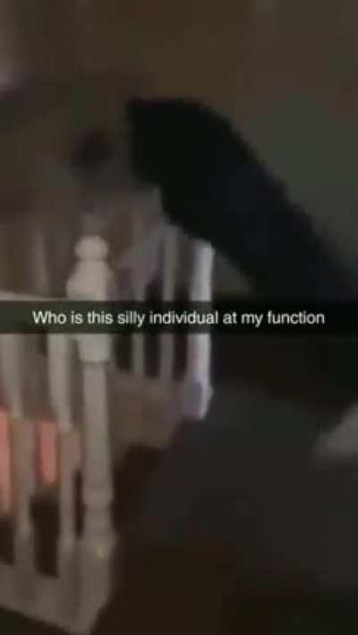 What a silly individual