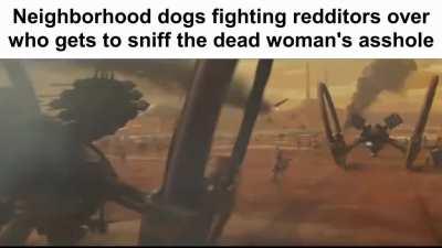 Most stable redditor