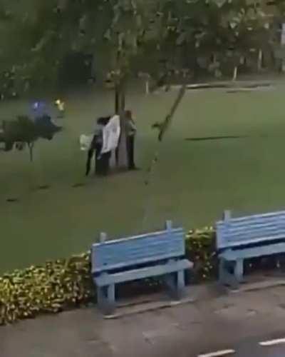 Standing under a tree during a thunderstorm