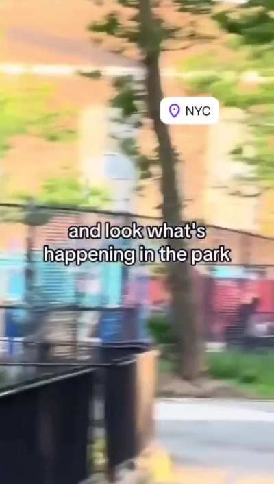 Cops on their phones not noticing that a girl being beaten in a park near them