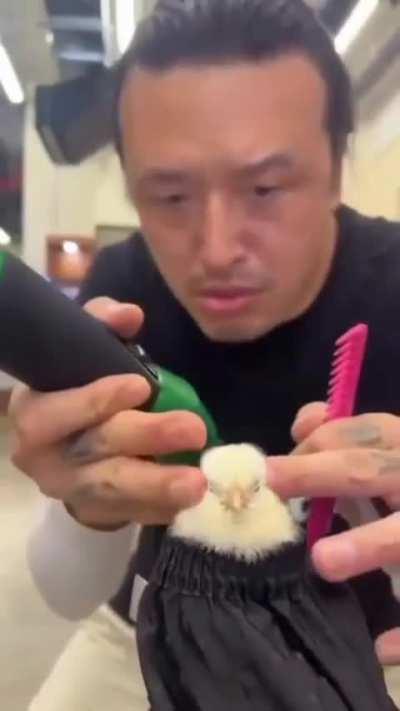 Please comment anything other than 