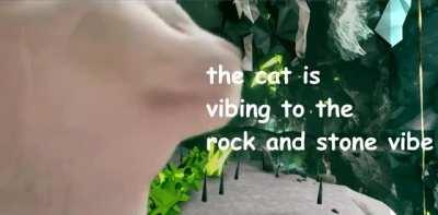 the cat is vibing