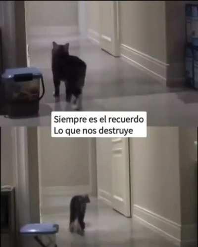 Hasta una patada en las bolas duele menos