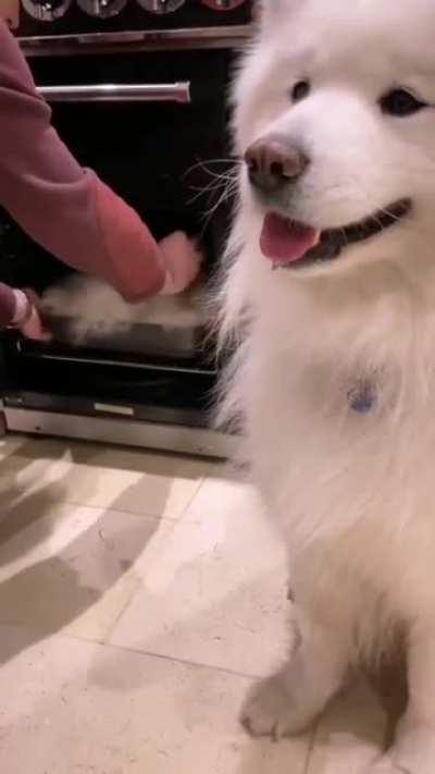 Can I get a no.4 with extra Floof