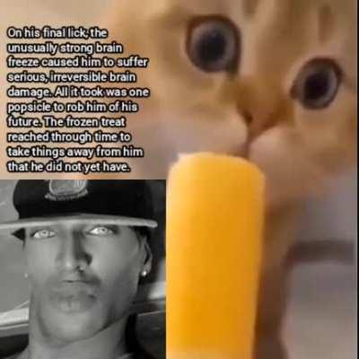 Cat become retard from brain freeze (sad)