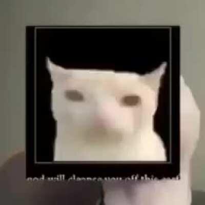 FUCK obama omg my dad is here and he hits my mom help