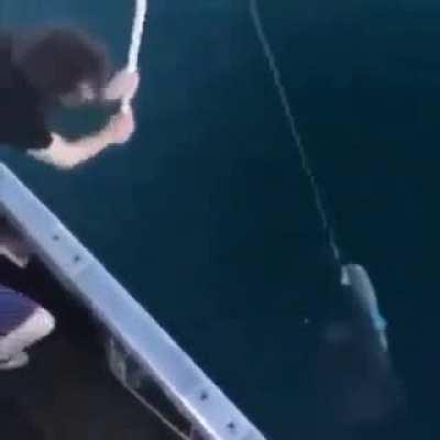 I bet this is how you fish in russia