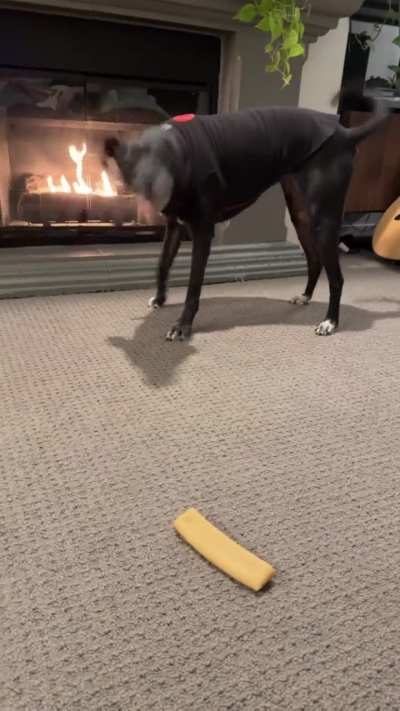 Possessive of yak cheese