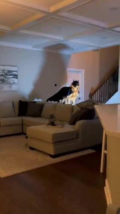 El heroe que todos nesecitamos.