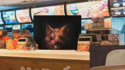 gira goes to mc donald