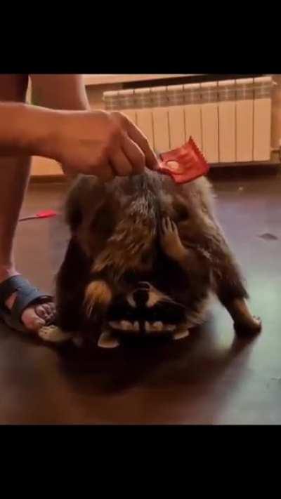 He likes the butt brushies