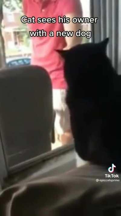 He really had a full on panic attack