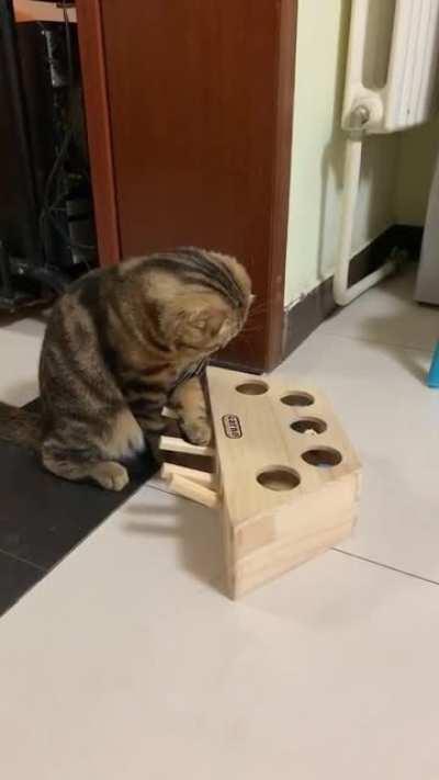 You had my curiosity, but now you have my attention.