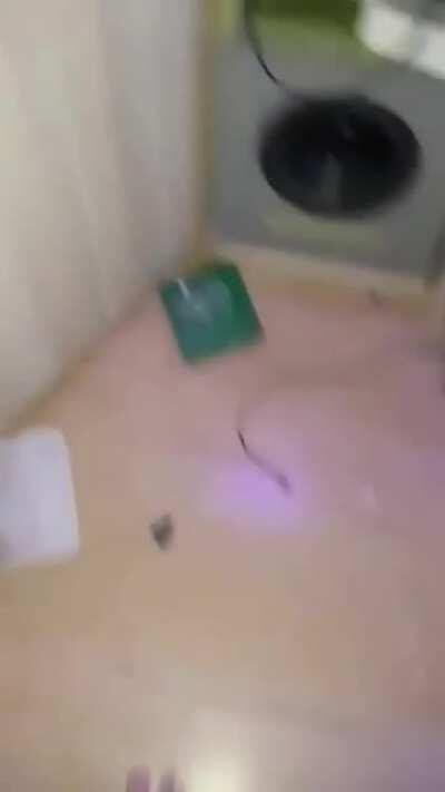 Ovo mi je jedan kolega danas poslao. Plakao sam od smijeha