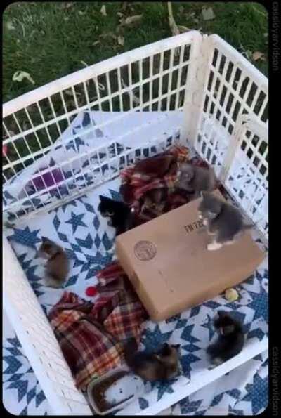 Окружены, но не сломлены!