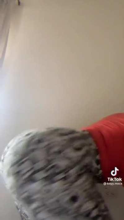 Lean back 👀🔥 (@kayy.mxck)