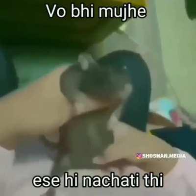 Yah meme nahin sacchai hai