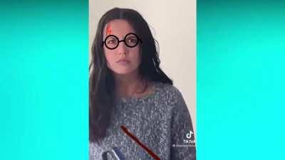 Гарри поттер и филосовский пылесос