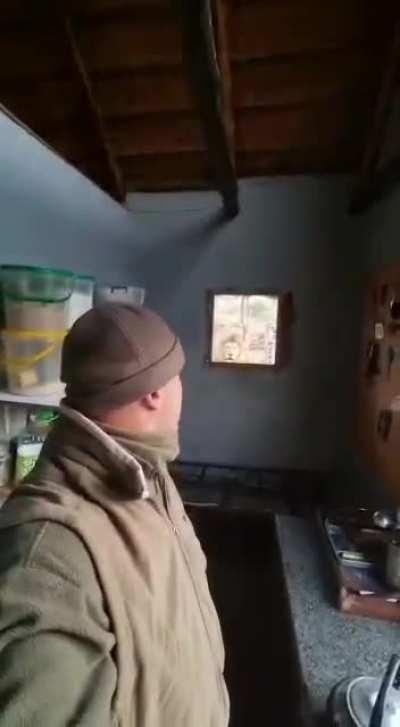 Guy wakes up with lions stopping him from heating up his kettle on the fire to make coffee.