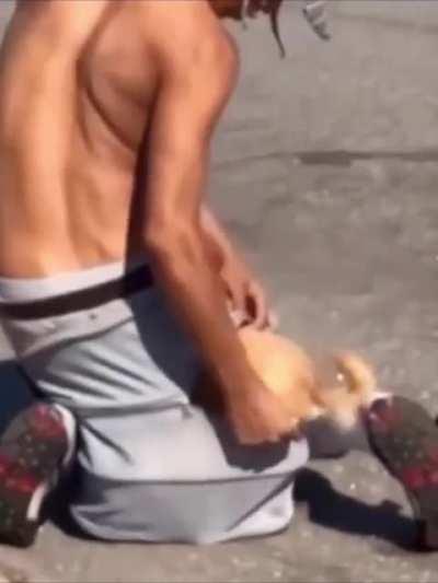 Making a dog smell your farts all day has to be animal abuse xD