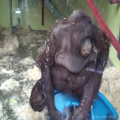 Monke takes out his target