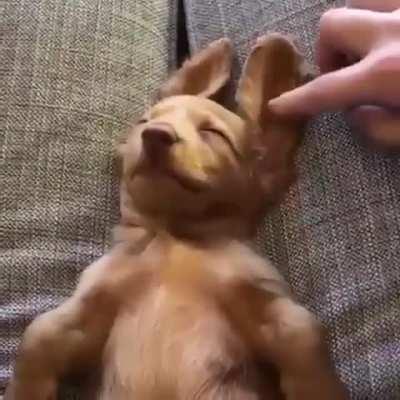 Sleeping, have a nice weekend everyone