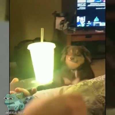 Como você fez isso cara?