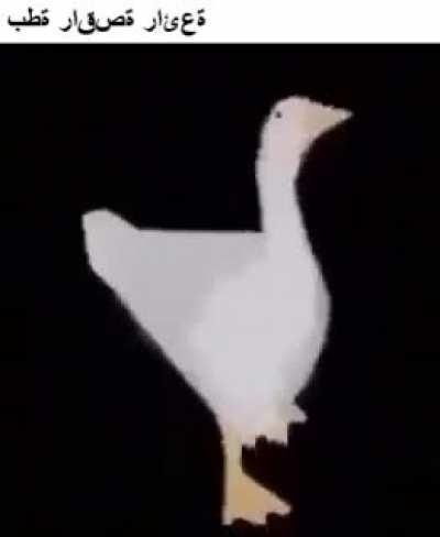 epic duck dancing!!!!!!! 144p download خال من الفيروس
