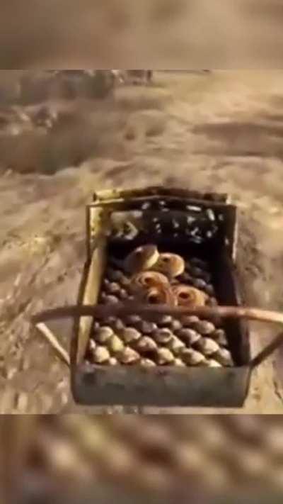 Hi I'm Courier And This Is Called 