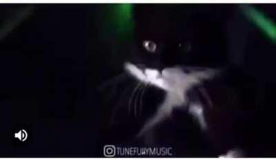 Anyone welcome to join our club, B