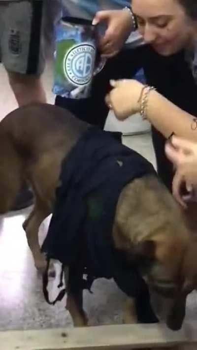 Public Highschool II