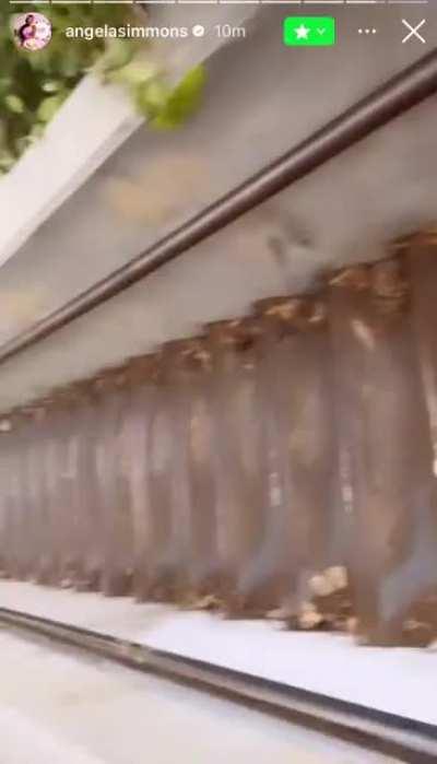 She know what she doing 😍