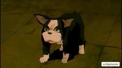 OVA Iggy's death but...