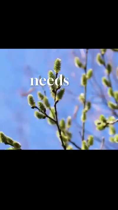 tammyhull - Video #0010