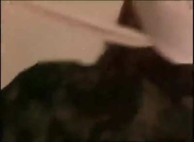 Osama bin laden singing poker face in his last days