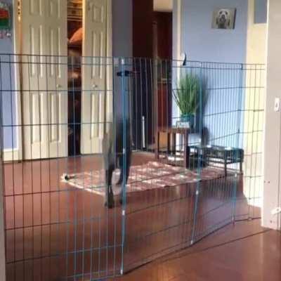 Hello vaccum my old friend.