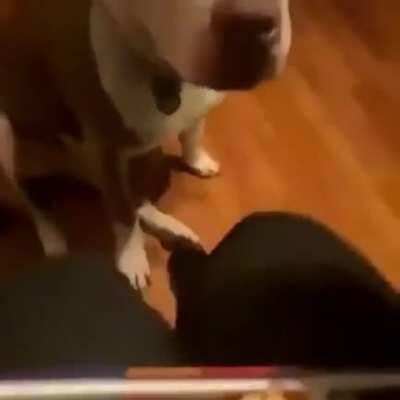 No jellybeans for you