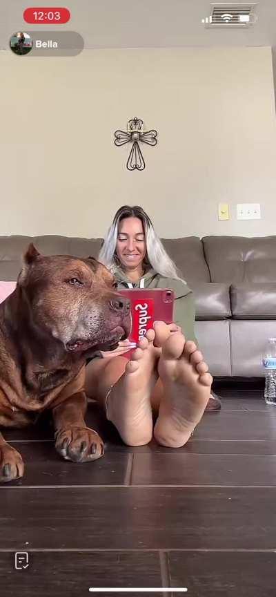 Wish I was Babyxxbellas dog