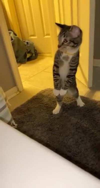 Don't get too close to the bath