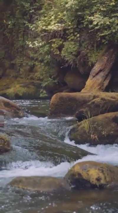 here's to the good guys..