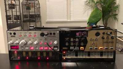 The party never ends