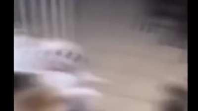 ghg”6 uhryyy-pTyygth