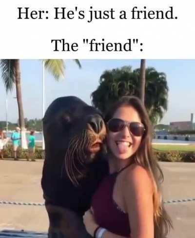 The Just Friend