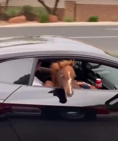 Back in the 90s, I was in a very famous tv show