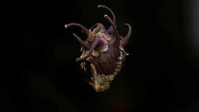 Beholder - David Oosterman