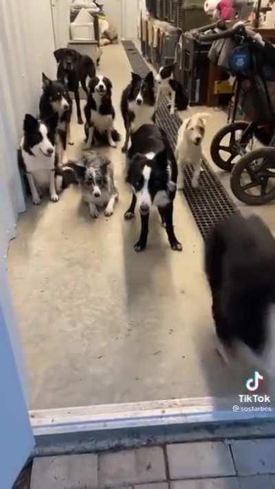 Name recognition demonstration