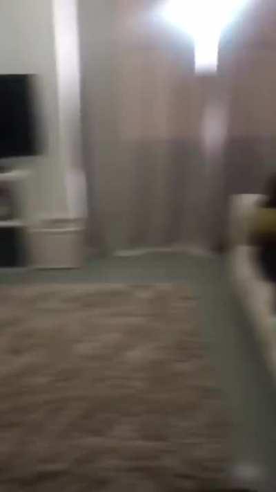 When you've seen live, spontaneous sex too many times