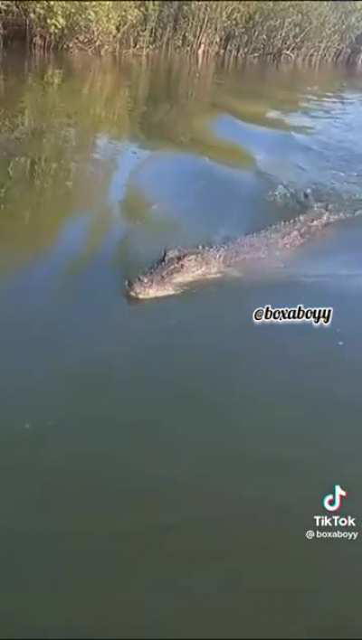 Was going to say RIP