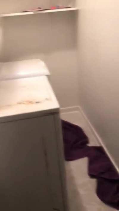 When your roommate says its your turn to do laundry