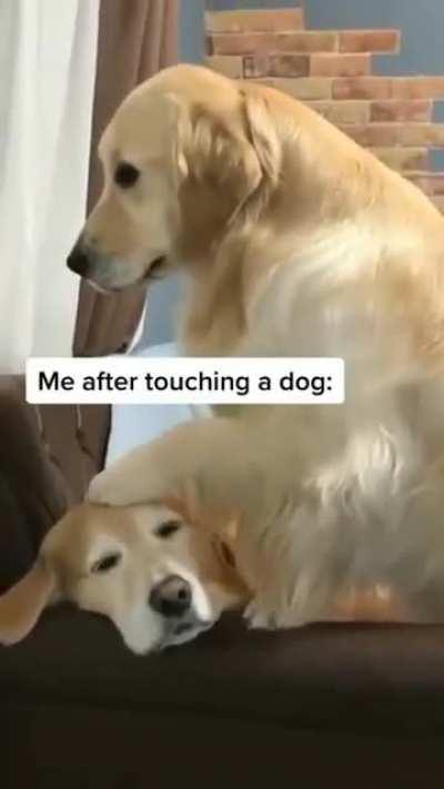 Always makes me smile :-)